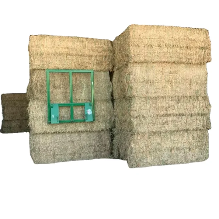 Nutritional Alfafa Hay Animal Feeding Stuff Alfalfa