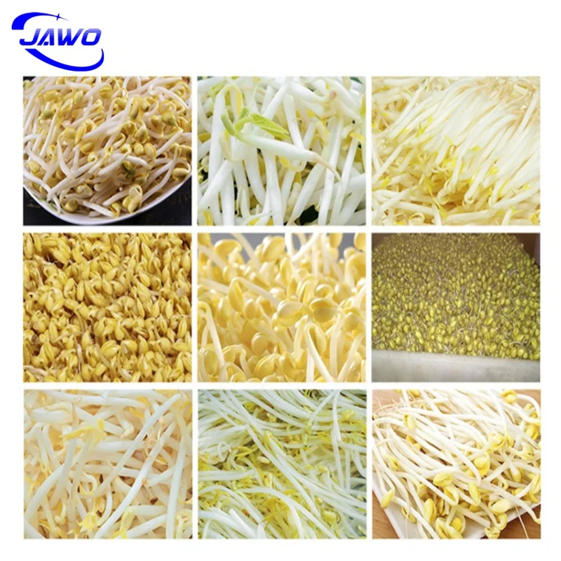Wheat Green Grass Sprouting Container Animal Feed Hydroponic Production Room Feed Processing Machines