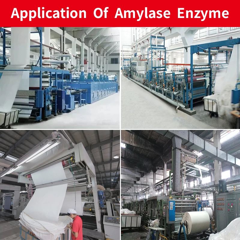 textile enzyme fabric desizing agent alpha amylase enzyme fast remove starch size high concentration wide temperature ph amylase
