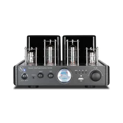 Newest product tube amplifier hi fi amplifier with optical function