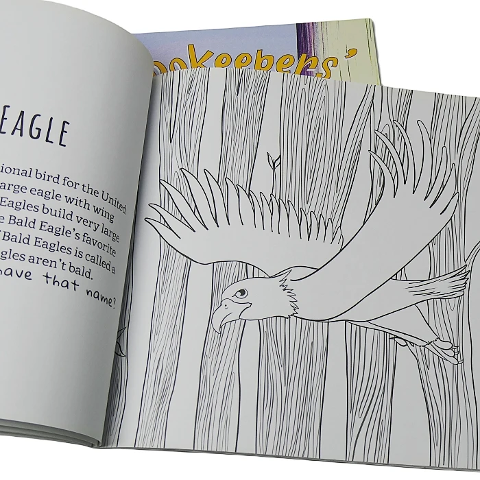 Детские развивающие книги для рисования на заказ