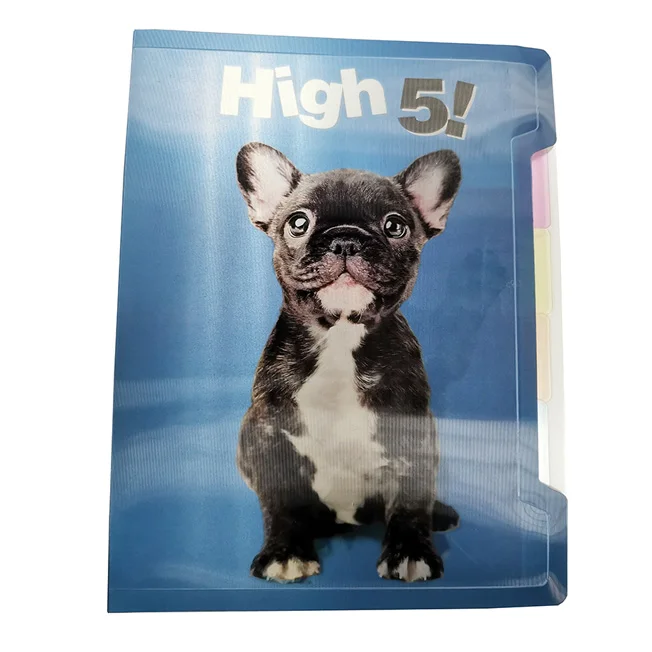 
3D Flipping Lenticular Replaceable Inside Pages 4C Printing Notebook 