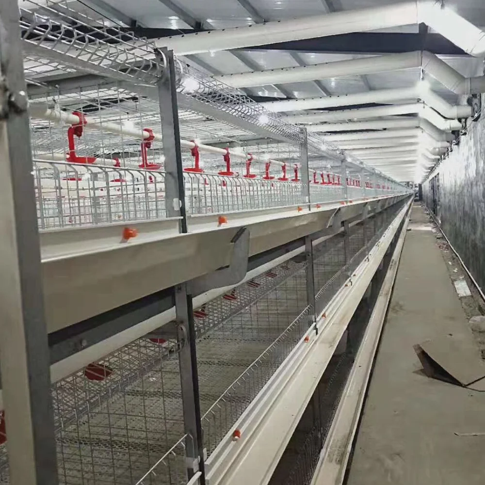 Wholesale Factory Price Automatic Poultry Battery Animal Broiler Chickens Cages System