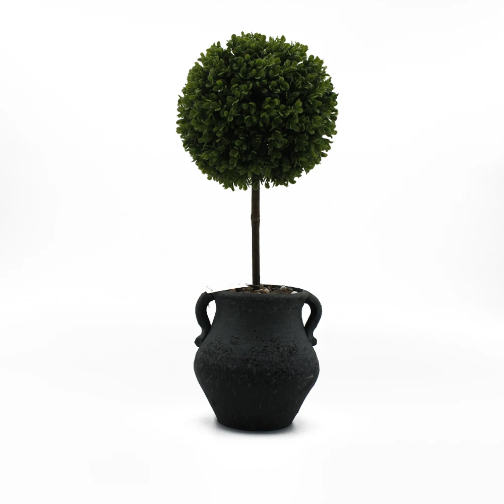  Листва растений Aglaia odorata искусственный бонсай Qifang 2020 podocarpus