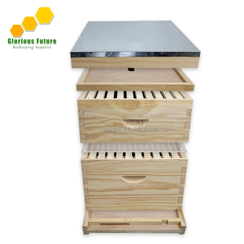 Лучшая цена, набор пчелиных ульев с пчелиными рамами от китайского производителя оборудования для пчеловодства