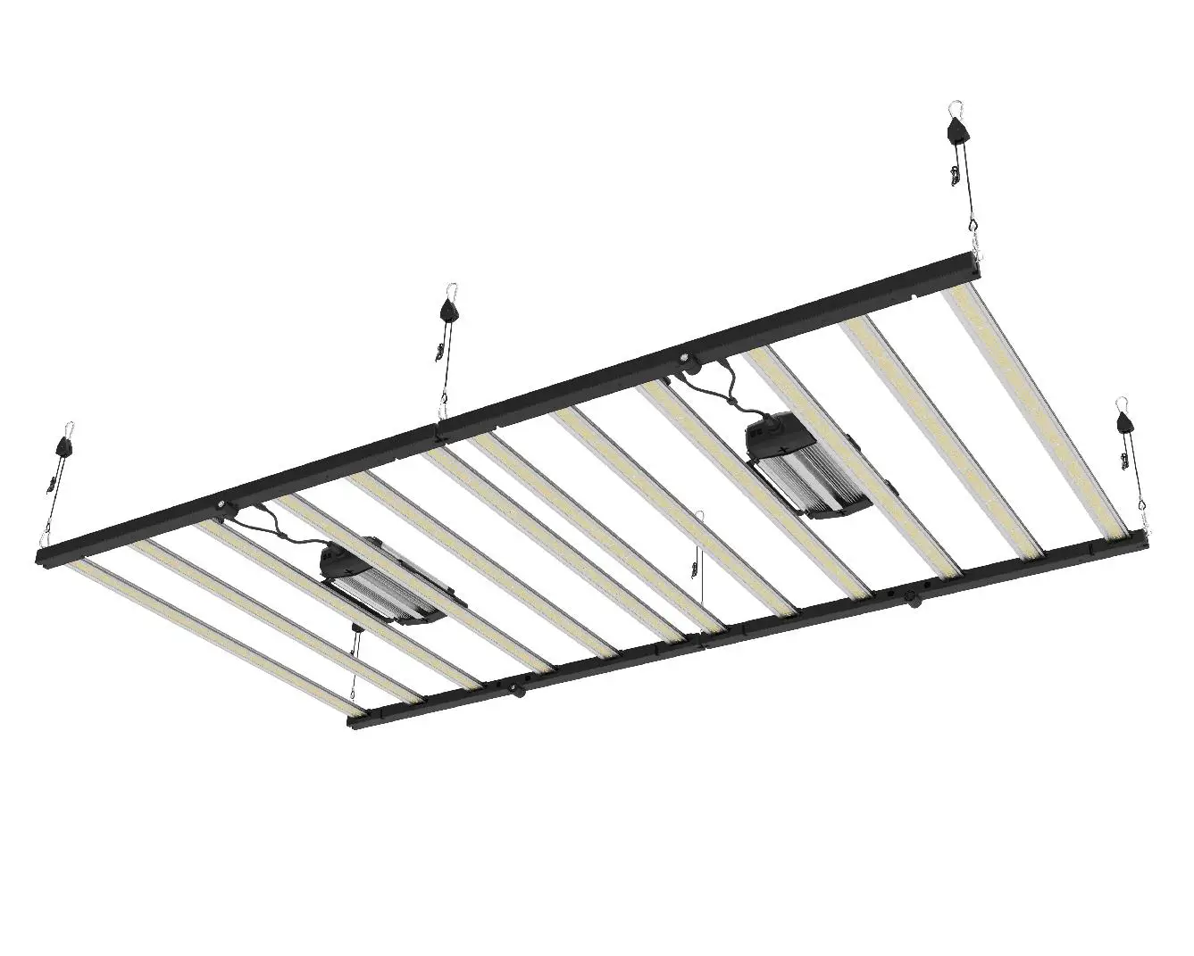 Grows 1000 Watt Tuning Meiju 240w Special Growing Kingbright Heavy Duty Led Grow Light