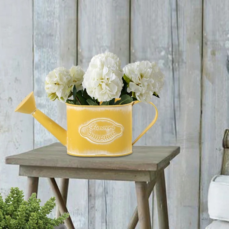 wholesales  metal powder coated oval wattering can Shape Flower Pot Succulent Planter New Style container packing/giftpacking