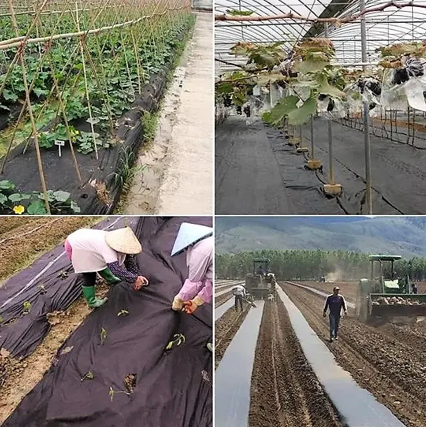 Plant Cover PP Spunbond Nonwoven Fabric for Garden Agriculture Cover Non-woven Fabric Biodegradable Anti Frost Pests Damage