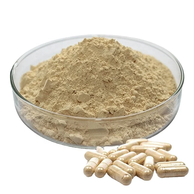High qualitypanax ginseng root powder 5%-80% ginsenosides Powder organic ginsenosides ginseng extract