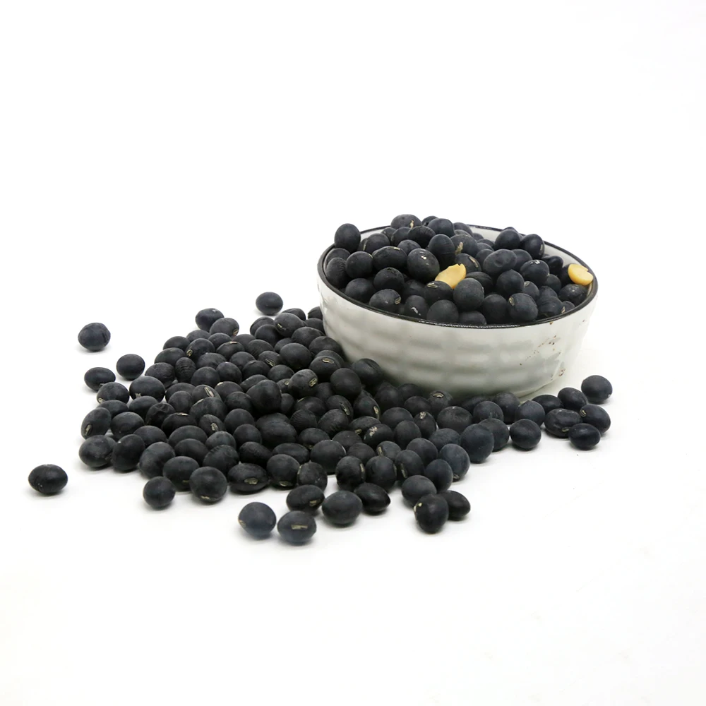Профессиональное производство, недорогая упаковка черной соевой бобов, органические черные соевые бобы