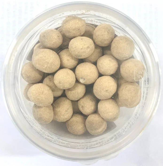 Health nutritious natural  soy bean japan wholesale food snacks