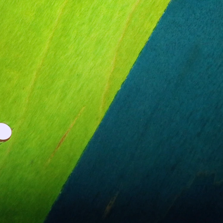 Custom 100% Canadian Maple American Imported Resin Veneer Skate Board Blank Skateboard Decks