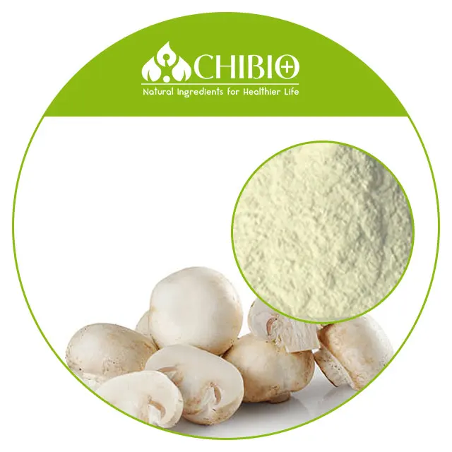 Film Forming Best Choice Factory Supply Hight Quality Fungal Mushroom Chitosan