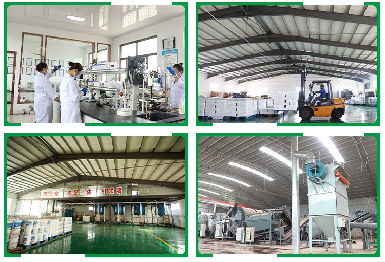 Organic Fertilizer for Agricultural Factory Organic npk fertilizer with Manufacturer Price