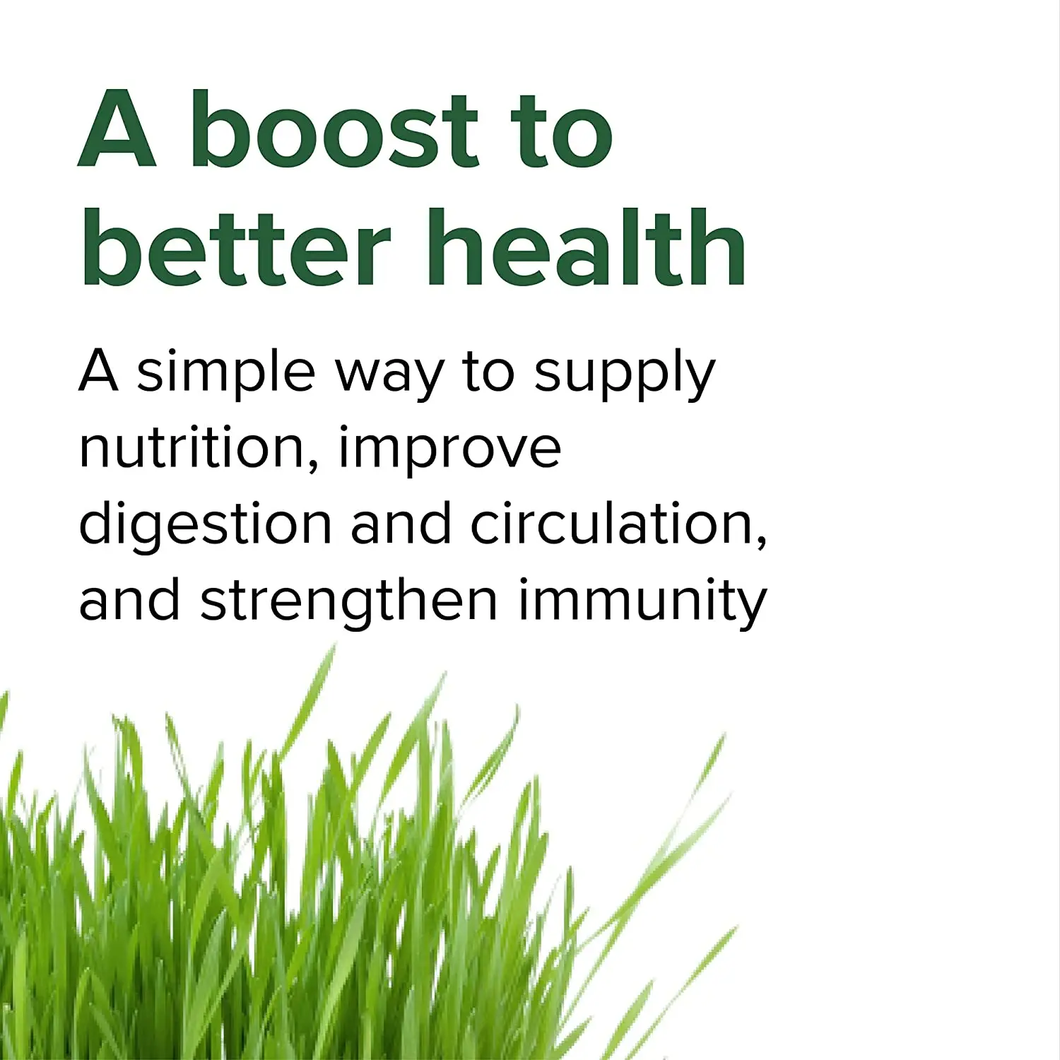 
Private Label Greens Superfood Powder with Mixed Veggie Ingredients for Immune Support Supplement 