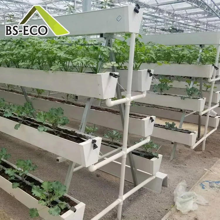 Multi-span Glass Greenhouse Nft vertical Hydroponics for Strawberry Planting