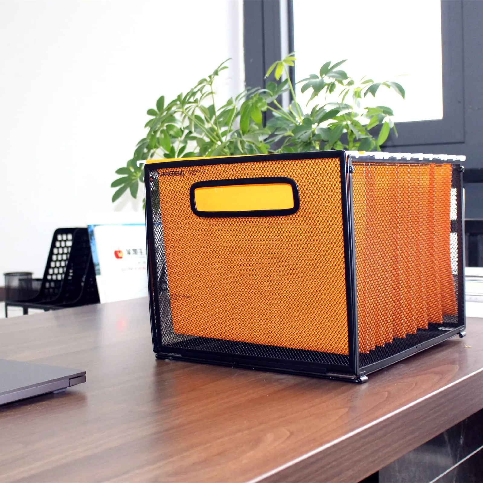 Letter-Size Hanging File Folder Organizer,Mesh Metal File Folder Box,Sundries or Toys Storage Box