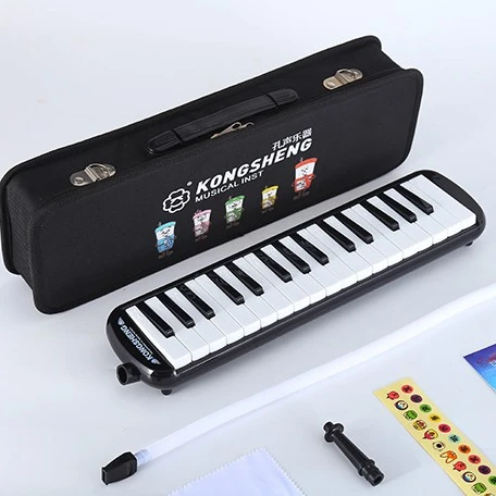 32 key Melodica Playing Musical Instrument Piano for School Teaching with Carring Case