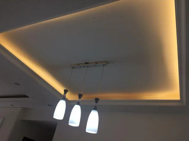 IP67 Waterproof Flexible LED Stripe Light Glue Filling Customized Soft Led Strip Light Outdoor  Lighting