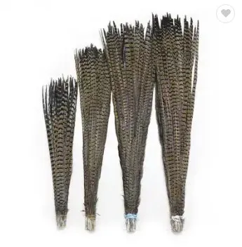 China factory price artificial pheasant tail feathers for carnival costumes