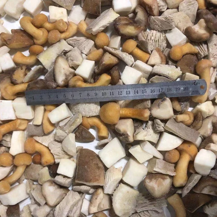 
IQF frozen mixed mushrooms mixed oyster cut shiitake nameko boletus edulis 