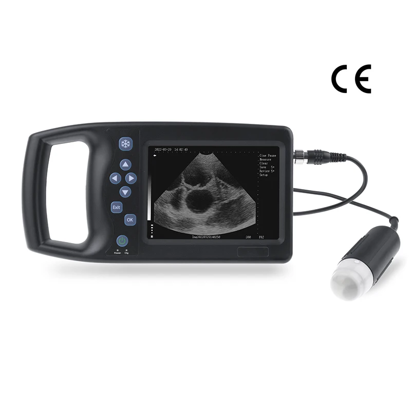 other animal husbandry equipment ultrasound scann veterinary schaffe und kuh
