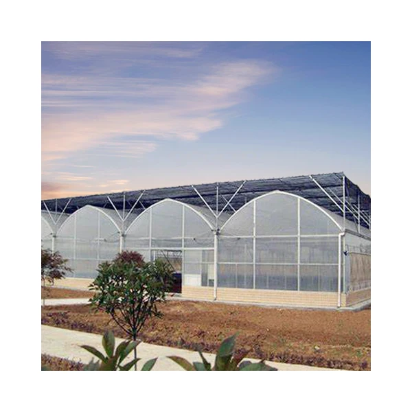 Sale Multi-Span Greenhouse Hydroponic System Agricultural Film Covered for Climate Control of Tomatoes & Cucumbers Green house