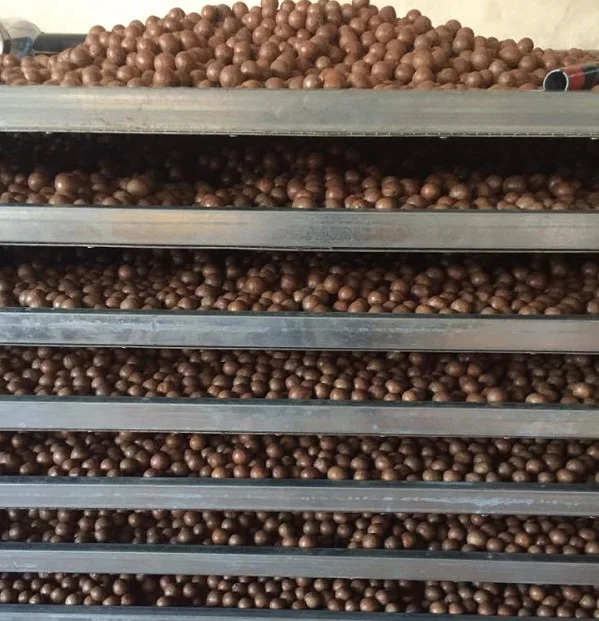
NEWEST CTOP MACADAMIA NUT VIETNAM ORIGIN 