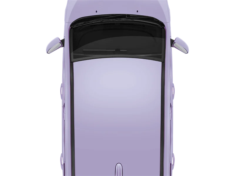 electric low speed car two doors new energy vehicle direct factory