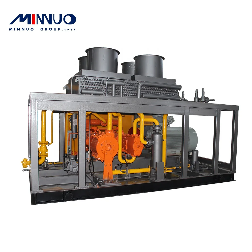 High quality with cheap price in Russia hydrogen gas compressor supplied by professional team
