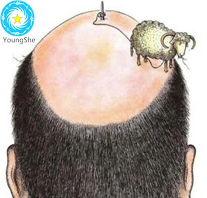 
Chengdu Cosmetics Raw Material hair growth peptide CAS 299157-54-3 Bio GHK/biotinoyl tripeptide 1 