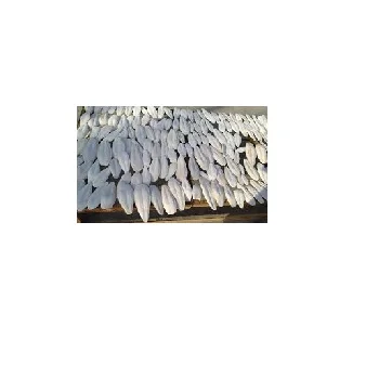HIGH QUALITY DRIED CUTTLEFISH BONE /SQUID BONE FOR ANIMAL FEED/Whatsapp +84 845 639 639