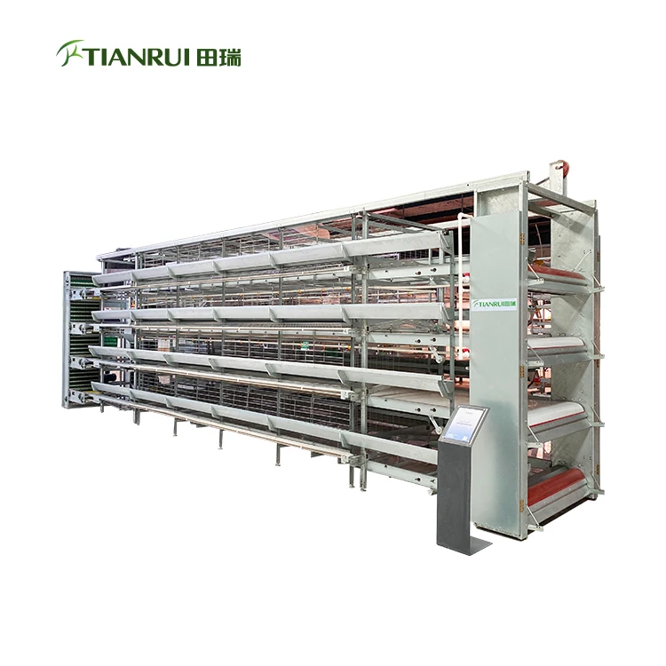 H тип клетка для курицы-несушки птицеводства оборудование готовое к отправке автоматическое поднятие оцинкованная сварная кур система