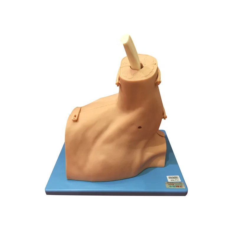 GD/LV77 General Doctor Advanced Shoulder Arthroscopy Model skill trainer