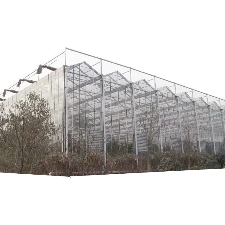 Greenhouse Agriculture and greenhouse accessories greenhouse for sale