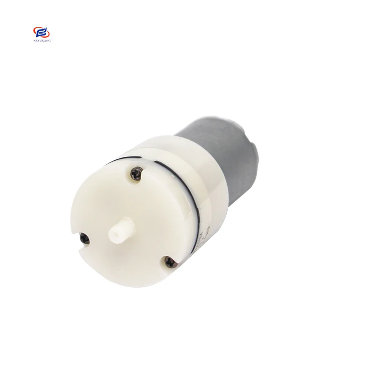 Manufacturer Customized Dc 12v Mini Electric Air Pump Can Be Used For Jingdiao Instrument
