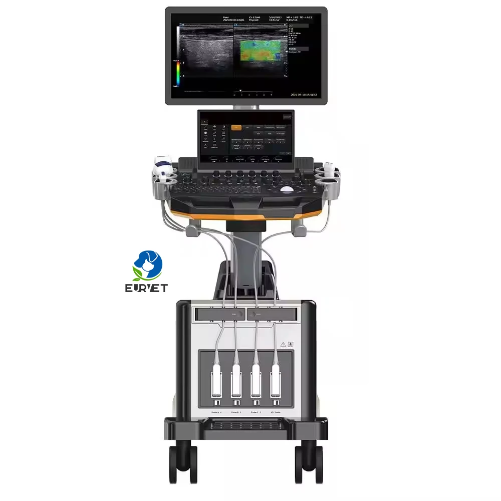EUR VET Digital Color Doppler Ultrasound Scanner Lab Medical Equipment 21.5-inch Medical Hd Monitor Trolley Ultrasonography