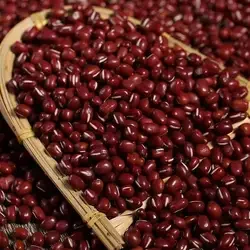 China Manufacture Wholesale red beans 100% natural Best Selling beans