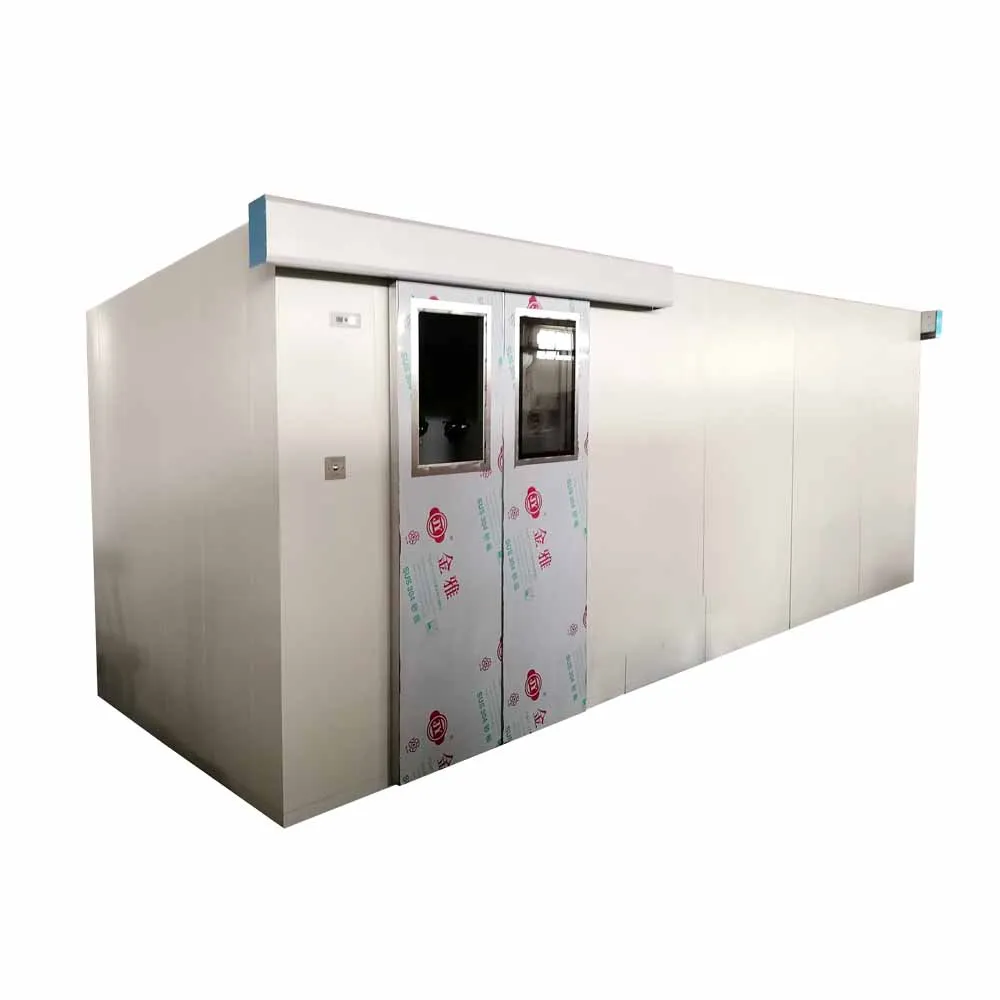 Clean Room Entrance Air Shower Wind Speed Adjustable Air Shower  Cleanroom Entrance