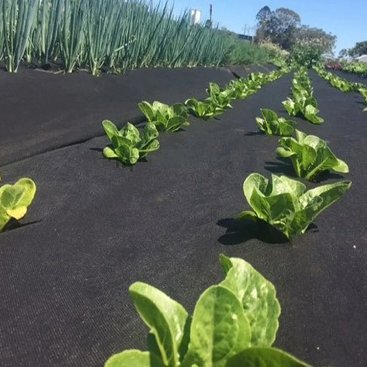 Factory Supply Black 100%PP anti UV Heavy duty spun bond material hydrophilic non woven weed control weed mat garden fleece
