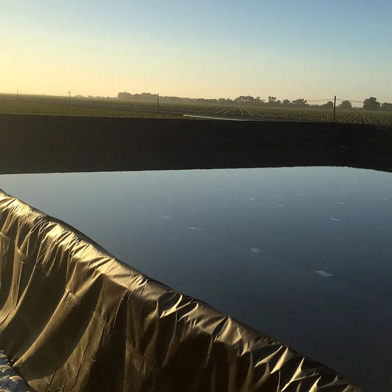 Factory Supply 0.5Mm 1Mm 1.5Mm 2Mm Impenetrability Hdpe Geomembrane Sheet Pond Liner For Sale