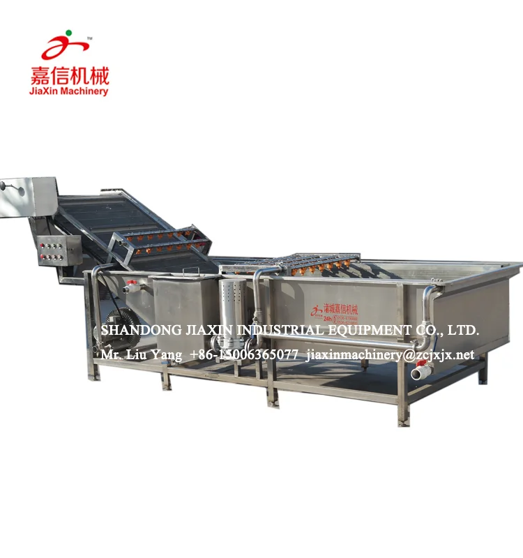 
304 stainless steel small fruits and vegetable washing sorting machine 