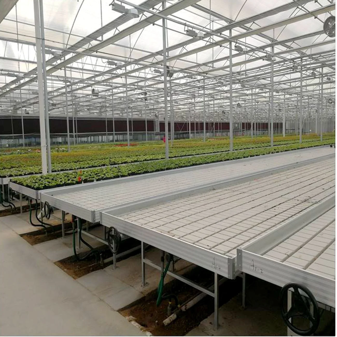 Commercial Greenhouse Seedbed 4X8 Ft Nursery Bed Ebb And Flow Tray Hydroponics Movable Rolling Bench System Flood Table