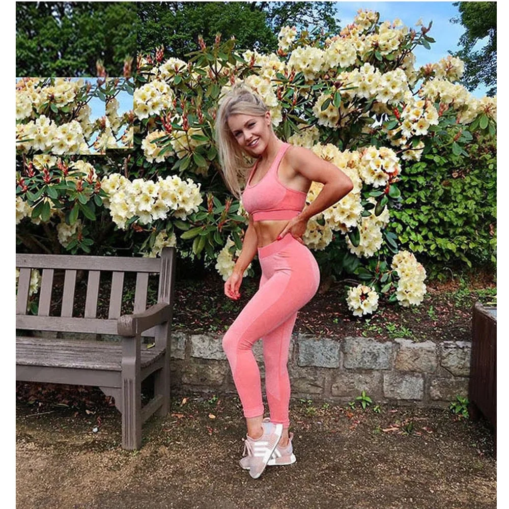 
Seamless Leggings And Bra Set Activewear Yoga Sets For Women 