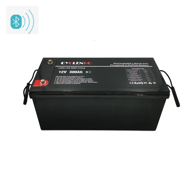 High quality with bms lifepo4 battery BT 12v 300ah hour for camping car motorhome