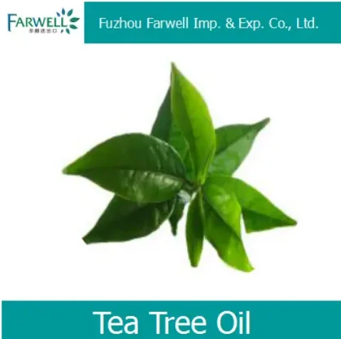 Farwel Natural Tea Tree Essential Oil with High Quality Reliable Supplier CAS.:68647-73-4