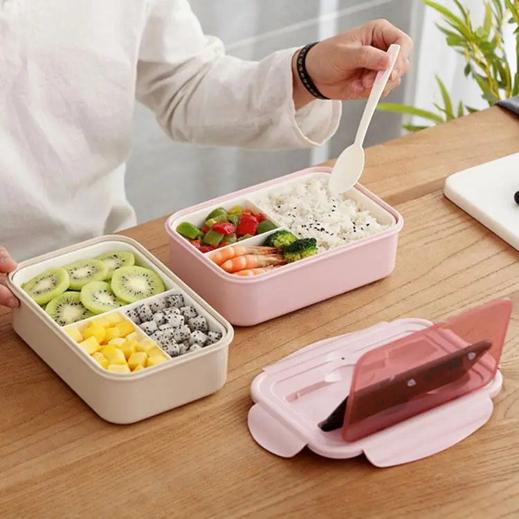 lunch box4