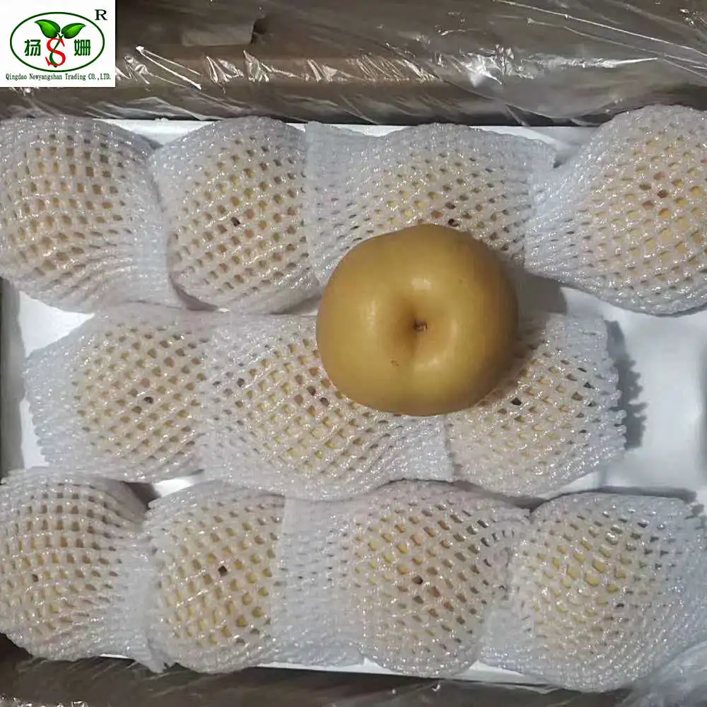 High quality low price for export shandong  fresh pear