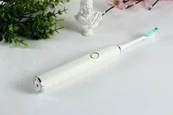 Portable Best Travel Whitening Sonic Toothbrush IPX8 Waterproof Smart Timing Electric Toothbrush