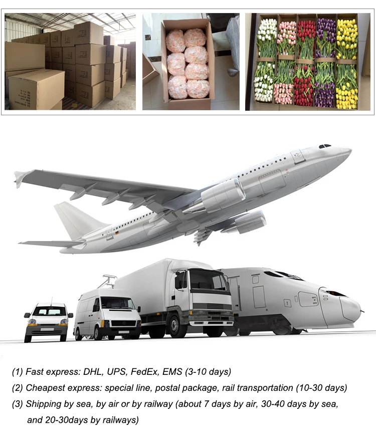 packing and shipping.jpg